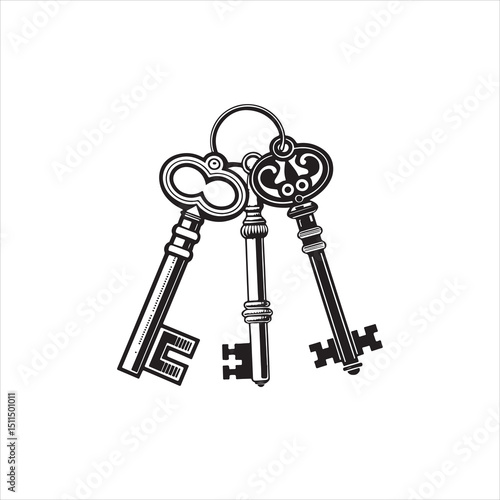 An ornate vintage key icon on white background.