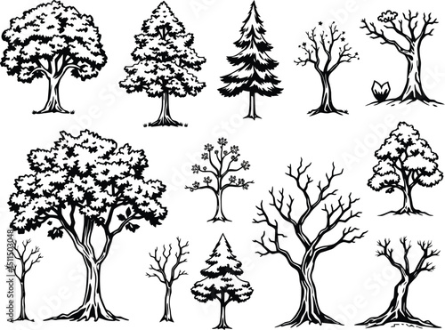 Collection of Black and White Tree Illustrations Various Tree Types for Design Projects