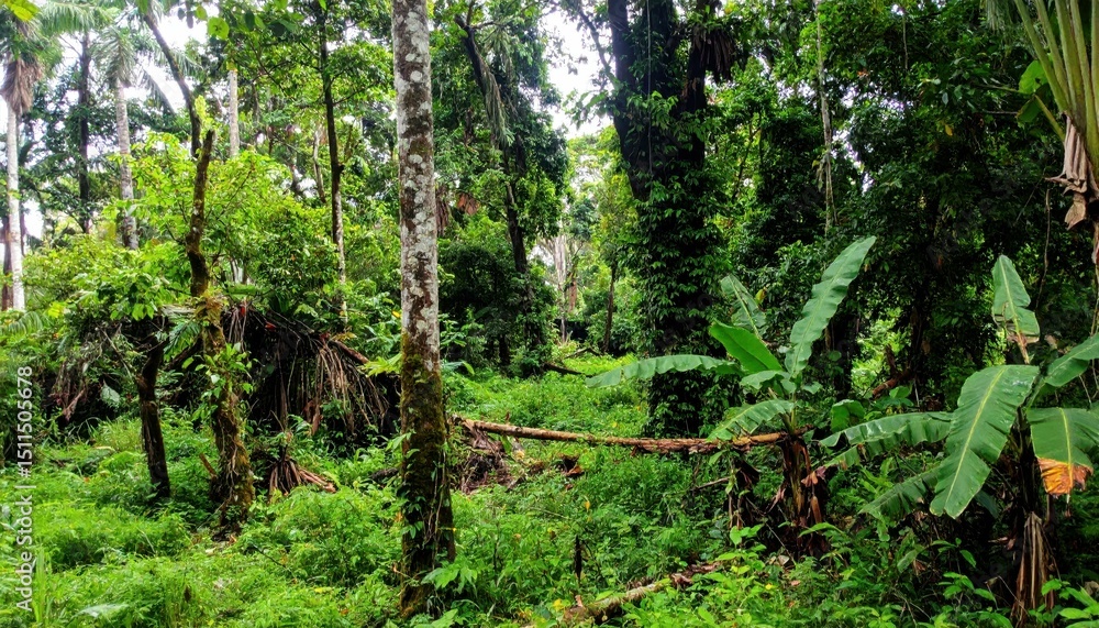 Fototapeta premium Lush Indonesian Jungle Landscape with Tribal Spirits and Natural Horror
