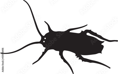 Cockroach Vector Illustration