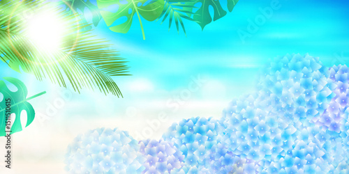 あじさい　海　花　夏　背景
