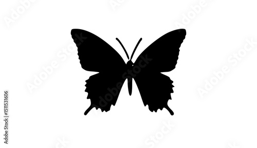 butterfly silhouette vector