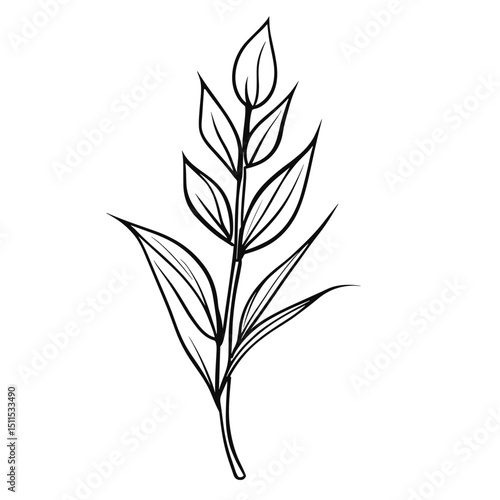 Line drawing of a flaxseed plant with leaves and buds  