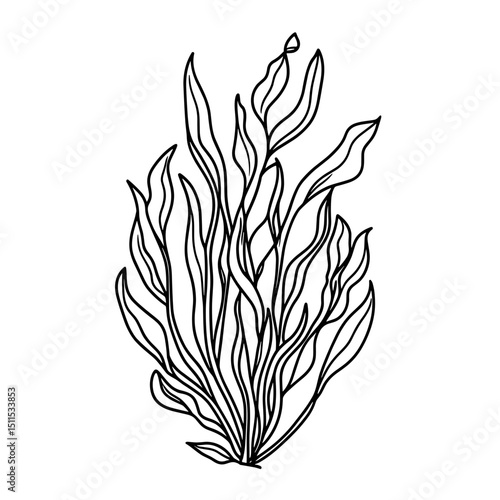 Single line drawing of kelp plant in minimalistic style  