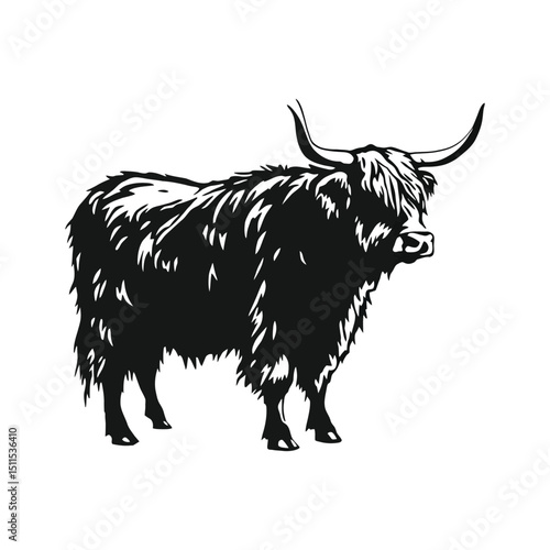 Creating Rustic Vector Scottish Highland Cow Illustration: Designing Farm Animal Graphics.

