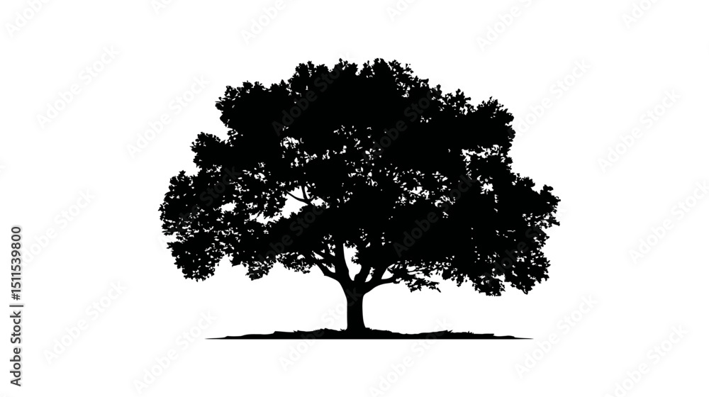 Fototapeta premium Tree symbol concept simple black silhouette vector isolated on white background -