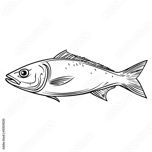 Line drawing of a mackerel fish swimming in water  
