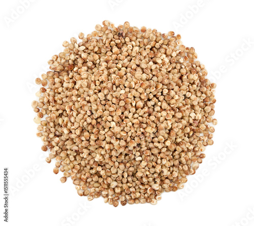 top view flat lay pile of coarse grind red sorghum grain cutout