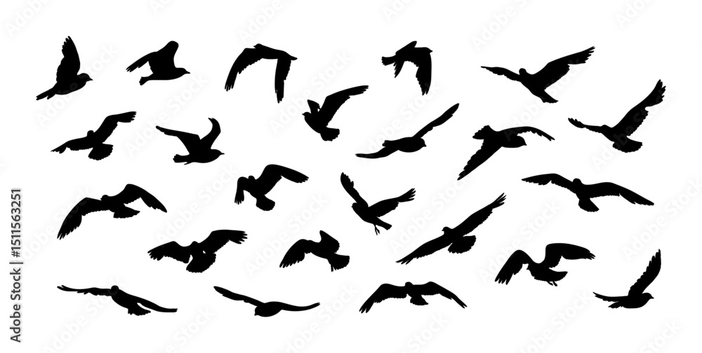 Birds in motion big set. Silhouette flock flying across sky. Minimalist black bird silhouettes on white background. Design element for banner, nature design, header, sticker,label Birds in motion big set. Silhouette flock flying across sky. Minimalist black bird silhouettes on white background. Design element for banner, nature design, header, sticker,label