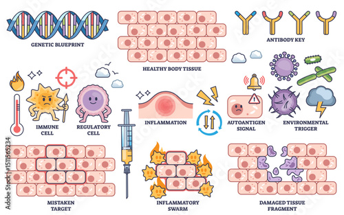Autoimmune diseases are illustrated with immune cells, inflammation, and damaged tissue, highlighting immune system dysfunction, transparent background. Outline style collection