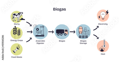 Biogas production is shown with slurry, anaerobic digester, and biogas storage as key elements in a clear process flow, transparent background. Doodle style diagram