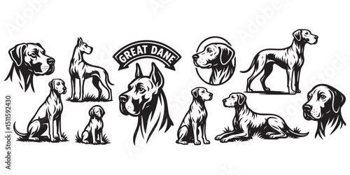 great dane dog object set in vintage style hand-drawn engraving woodcut illustration