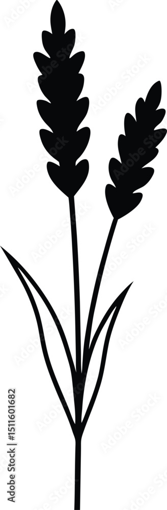 Obraz premium set of flowers