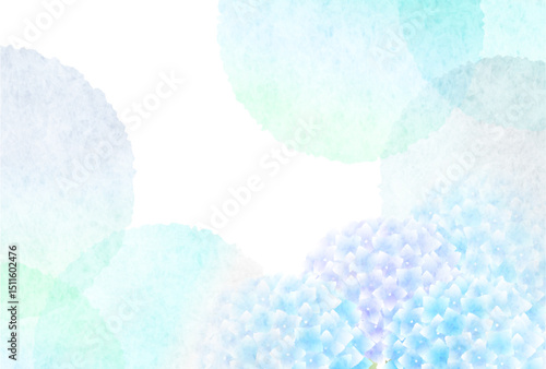 あじさい　梅雨　花　背景