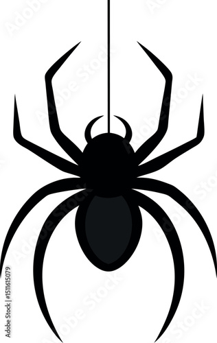 spider on a white background