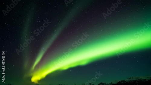 Vibrant night sky, stunning auroras dancing in green and purple hues, natural wonder radiating tranquility and beauty.