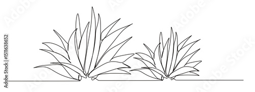 continuous one line art of aloe vera flower. vector illustration with transparent background