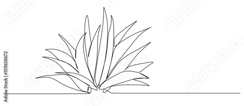 continuous one line art of aloe vera flower. vector illustration with transparent background