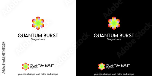 quantum burst Logo Template Design Vector