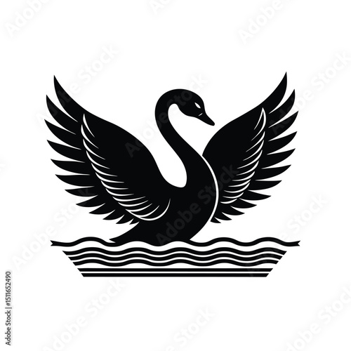 Fototapeta Naklejka Na Ścianę i Meble -  black swan vector illustration