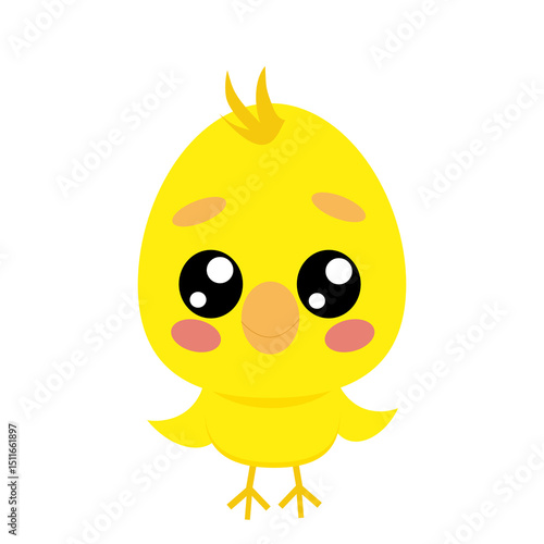 Cute Cartoon Chick on White Background