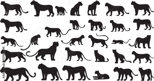 Big Cat Silhouettes Collection – Panther, Cheetah, Tiger & Leopard Poses