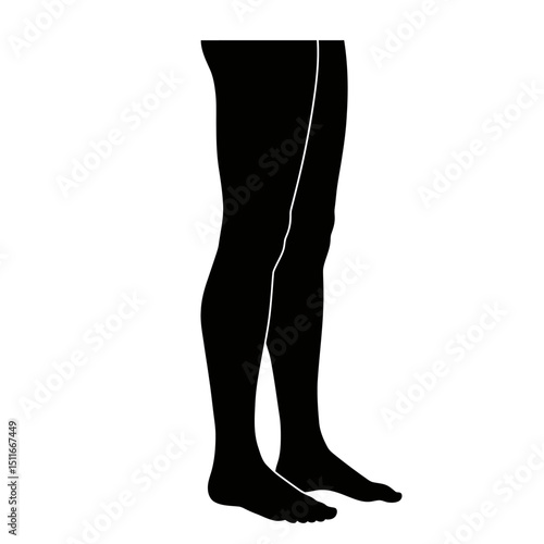Flat Black Silhouette Vectors of Human Body and Internal Organs on White Background