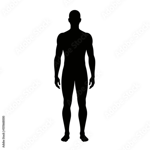 Flat Black Silhouette Vectors of Human Body and Internal Organs on White Background