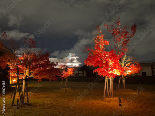 ライトアップされた紅葉と城