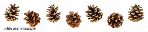 Photos set of many different pine cones for christmas decoration isolated on white or t