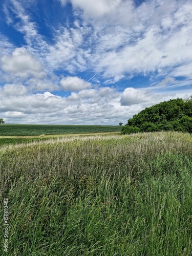 Serene Green Fields Under Cloudy Sky