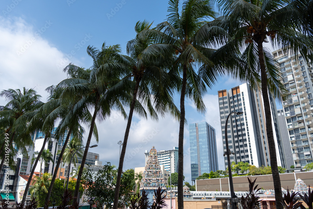 Fototapeta premium Sri Srinivasa Perumal Temple surrounded by buildings and palm trees in Singapore