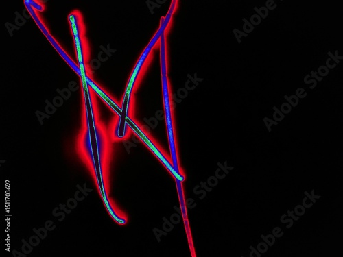 Glowing English letter M. On a black background with colored neon lines, a letter of the English alphabet is written by hand. The letter glows pink-red, creating a green-blue halo around it.