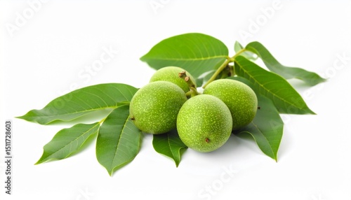 Wallpaper Mural Green walnuts isolated on white background  Torontodigital.ca