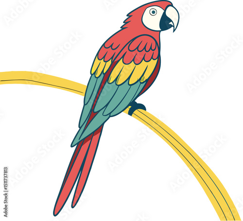 parrot on white background
