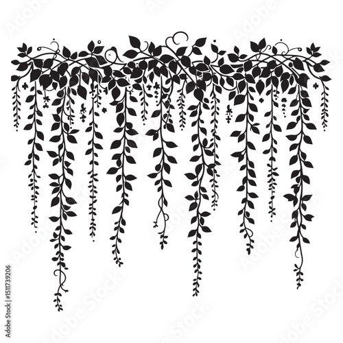 Wisteria vine silhouette illustration cascading foliage climbing plant art