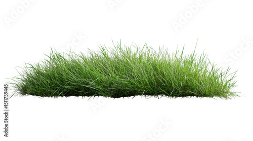 Lush green grass tuft with vibrant natural blades, fresh turf element for landscaping or garden design, isolated on white background