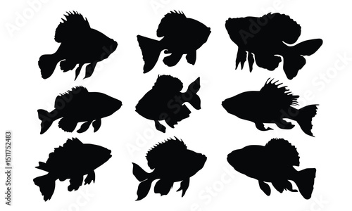 Fish illustration silhouettes Collection, fish silhouette vector art white background