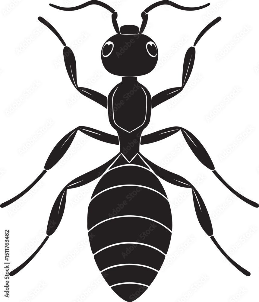 black and white illustration of an ant black and white illustration of an ant