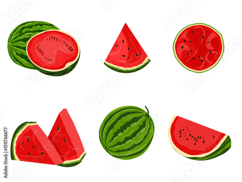 colorful watermelon vector set including whole fruit, slices, halves, and wedges. Perfect for summer, tropical themes, food packaging, and healthy lifestyle designs.