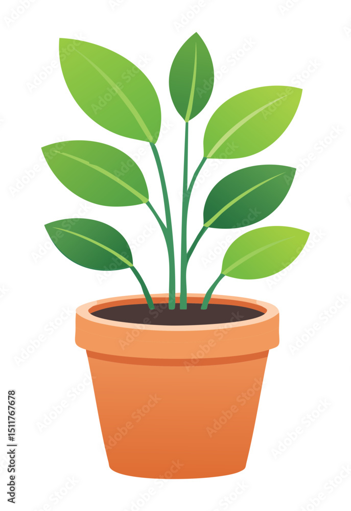 Potted Plant with Broad Leaves Illustration Potted Plant with Broad Leaves Illustration