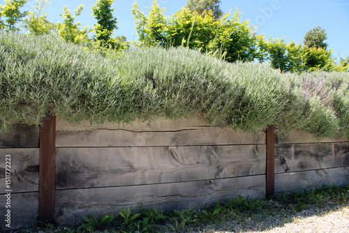 Εκτύπωση καμβά Bordure en traverse bois dans le jardin