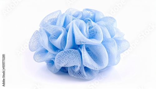 Shower puff isolated on white background 