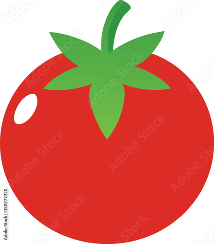 tomato vector illustration
