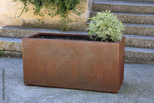 Papier peint Bac à plantes en acier corten