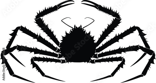 Black arachnid insect, a creepy spider silhouette isolated on white, Adobe Illustrator Artwork.
