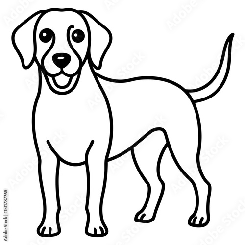 dog with floppy ears full view