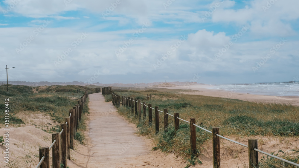 Wooden boardwalk path leading to a serene sandy beach with grassy dunes on both sides Wooden boardwalk path leading to a serene sandy beach with grassy dunes on both sides