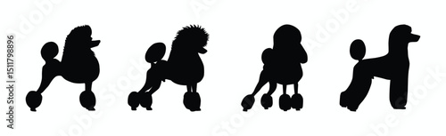 Poodle Dog silhouette set