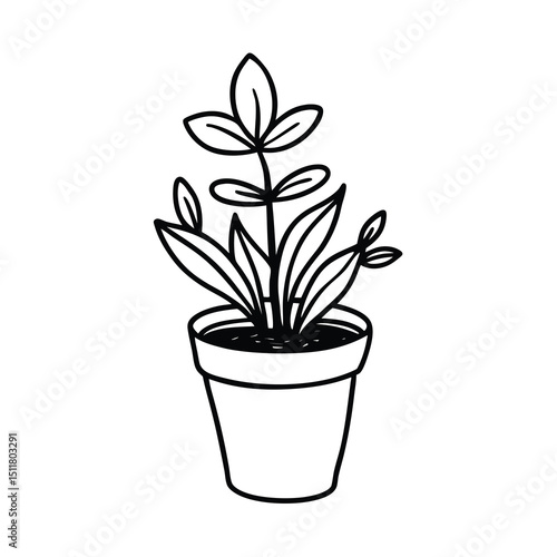 hand drawn plum tree with pot